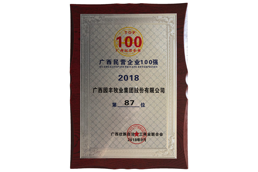 廣西民營企業100強第87位