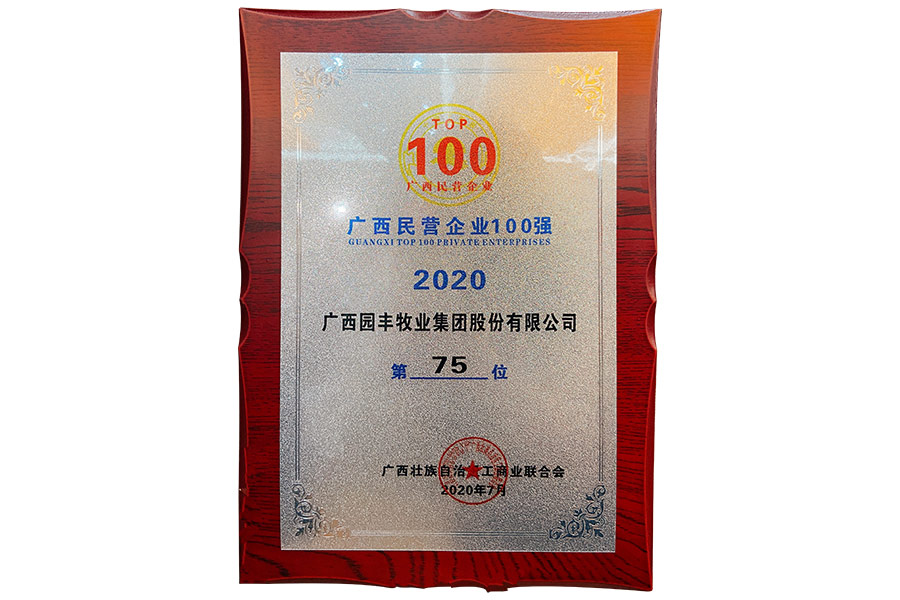 廣西民營企業100強第75位